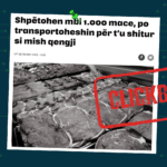 Në titull nuk bëhet e ditur se ngjarja ka ndodhur në Kinë