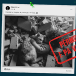 Imazhi që paraqet fëmijën nën gërmadha duke mbajtur macen në duar, është gjeneruar me Inteligjencë Artificiale