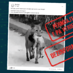 Fotografia nuk është realizuar në Gaza dhe qarkullon në internet që nga viti 2017