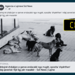 Titulli nuk sqaron se ligji për largimin e qenve endacakë u miratua në Turqi