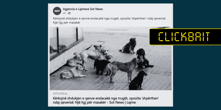 Titulli nuk sqaron se ligji për largimin e qenve endacakë u miratua në Turqi