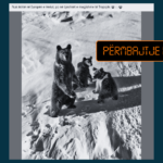 Fotografia që u shpërnda edhe nga kryeministri Rama nuk është shkrepur në malet e Tropojës, por në Sochi të Rusisë