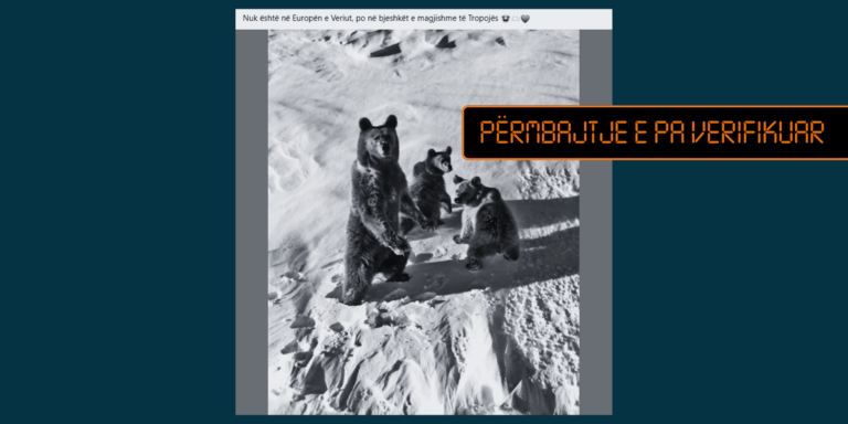 Fotografia që u shpërnda edhe nga kryeministri Rama nuk është shkrepur në malet e Tropojës, por në Sochi të Rusisë