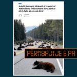 Fotografia e arinjve që kanë bllokuar rrugën është e gjeneruar nga inteligjenca artificiale