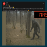 Imazhi i “njeriut-ujk” u gjenerua me Inteligjencë Artificiale