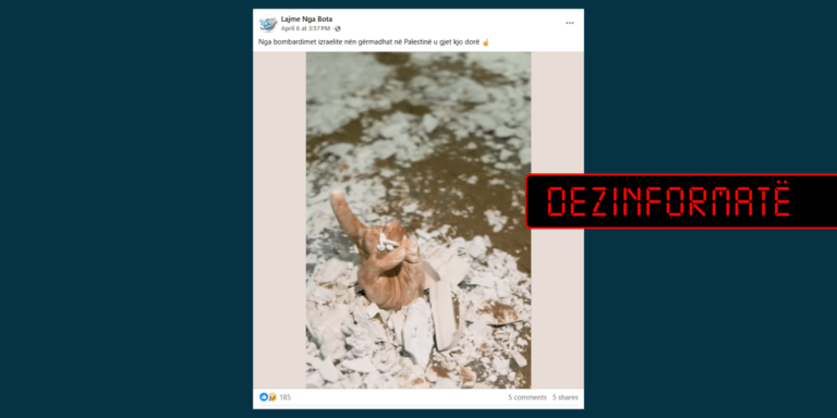 Fotografia nuk paraqet një dorë reale nën gërmadha, është vepër artistike