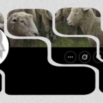 Llogaria në “X” që përhap dezinformata për shqiptarët