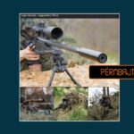 Pamje të snajperistëve të huaj shpërndahen si të FSK-së