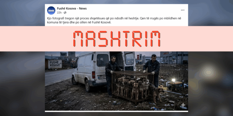 Imazhi i krijuar me IA paraqitet pasaktë si dëshmi për transportimin e qenve endacakë në Fushë Kosovë