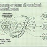 Kujtesa që chatbot-i ruan për ty mund të formësojë realitetin informativ që të shfaqet